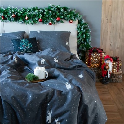 Постельное бельё 1.5-спальное «Этель» Magic night, бязь