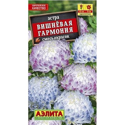 Астра Вишневая Гармония Аэлита