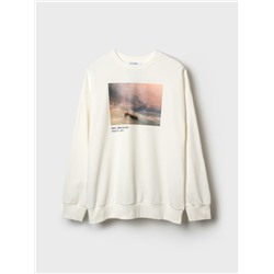 Толстовка трикотажная для мужчин