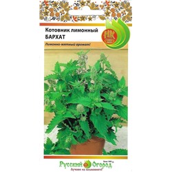 Котовник Лимонный бархат (НК)