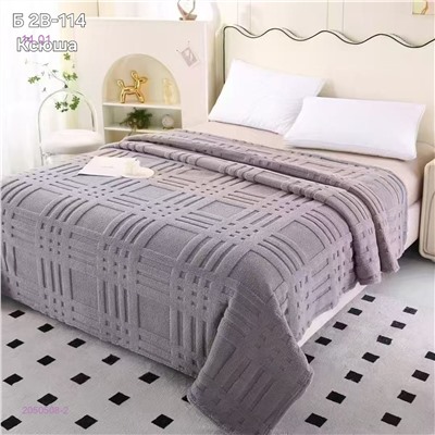 ПЛЕДЫ 2050508-2