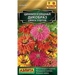 Цинния Дикобраз смесь (Код: 92542)