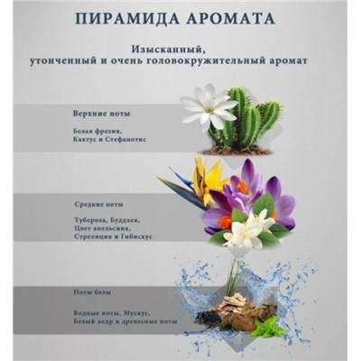 Духи #23313072