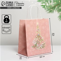 Пакет подарочный новогодний крафтовый «С Новым годом», 22×25×12 см