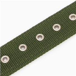 Ошейник «Комфорт», 60×4 см, ОШ 44-54 см, комбинированный, полиэстер, искусственная кожа, зелёный