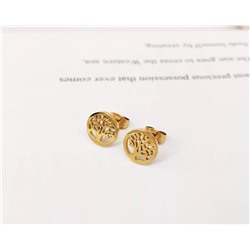 Серьги из стали