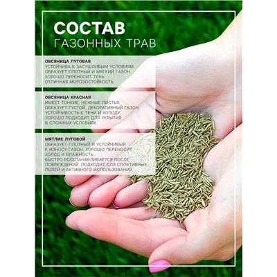 Газон «Красотень», Морозко, 25 кг