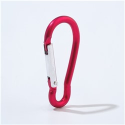 Набор карабинов металлических, туристических, 4.5 см, 10 шт.