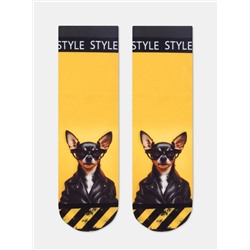 Conte elegant Носки FANTASY 17С-34СП