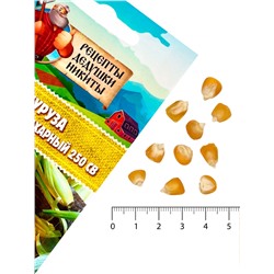 Семена Кукуруза «Краснодарский сахарный 250 CB», 3 г, «Рецепты дедушки Никиты»