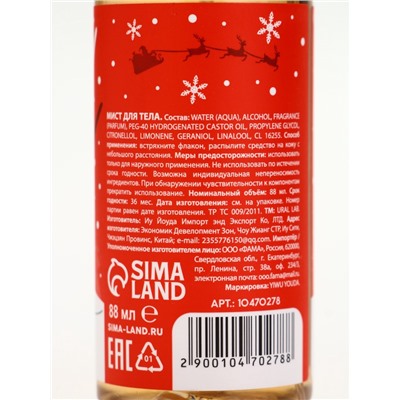 Подарочный набор новогодний «Медвежонок», гель для душа 100 мл и мист для тела, URAL LAB