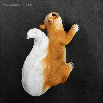 Садовая фигура из полистоуна «Белка», подвесная, 21.5×11×13 см