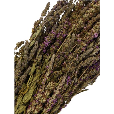 Веник для бани, шалфей, 45 (± 5 см), «Добропаровъ»