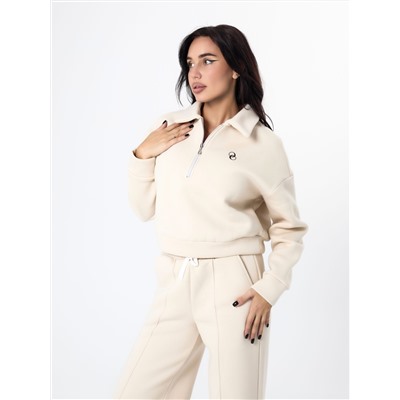 Толстовка (начес) 323164ВШWbч