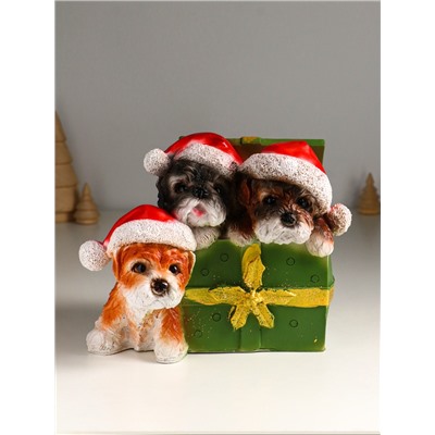 Фигура полистоун «Щенки в шкатулке», 16.5×23×18 см