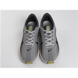 Кроссовки Nike Pegasus Plus