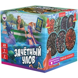 Фейерверк JFC 25-49/01 Зачетный улов (1" х 49)