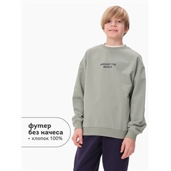 PELICAN Толстовка