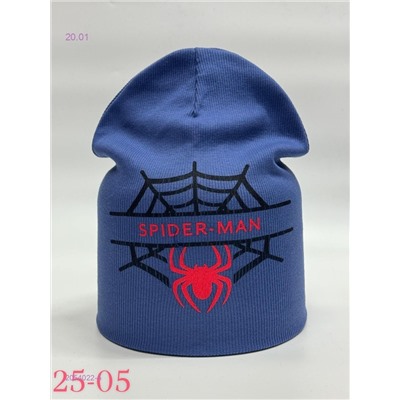 шапка 2054022-5