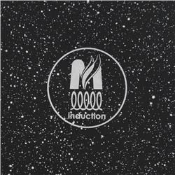 Сковорода Мечта «Гранит Black» Induction Pro, d=26 см, съёмная ручка, антипригарное покрытие, индукция, литой алюминий, чёрный