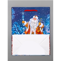 Пакет подарочный новогодний ламинированный, «Новогодний набор », 18×10×22.3 см