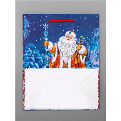 Пакет подарочный новогодний ламинированный, «Новогодний набор », 18×10×22.3 см