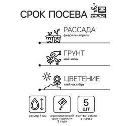Семена цветов Катарантус "Теплая волна", бургунди, 5 шт