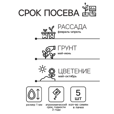 Семена цветов Катарантус "Теплая волна", бургунди, 5 шт