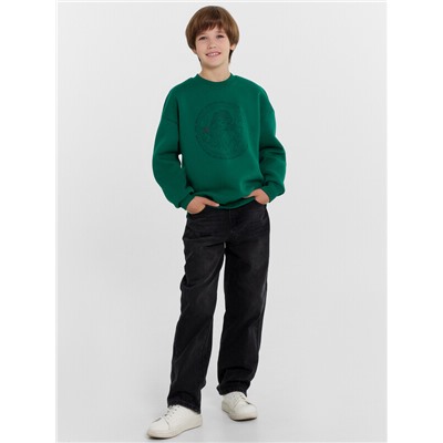 СВИТШОТ ДЛЯ МАЛЬЧИКОВ 123437/1