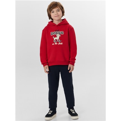 КОМПЛЕКТ ДЛЯ МАЛЬЧИКОВ (ХУДИ, БРЮКИ) 393313