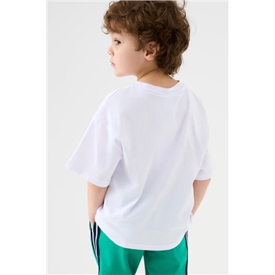 Фуфайка трикотажная для мальчиков (футболка) PLAYTODAY, 1239586