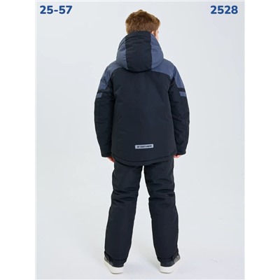 Костюм 2528 серый