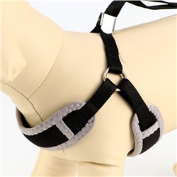 Комплект мягкая шлейка, поводок 120×1 см с вертлюгом, S, ОШ 26-67 см, ОГ 26-67 см, чёрный