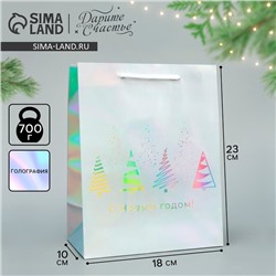 Пакет новогодний подарочный голографический «С Новым годом», 18×23×10 см