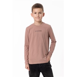 Футболка с длинным рукавом М225013Пк