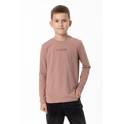 Футболка с длинным рукавом М225013Пк