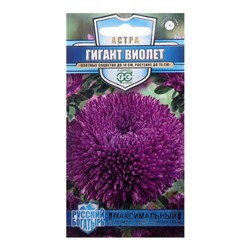 Семена цветов Астра однолетняя (игольчато-коготковая) "Гигант виолет", ц/п,  0,05 г