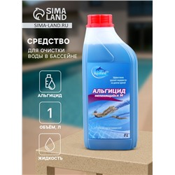 Средство для очистки воды в бассейне Aqualand, от водорослей, не пенящийся М, 1 л
