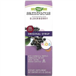 Nature's Way, Sambucus для детей, стандартизированный экстракт бузины, оригинальный сироп, 240 мл (8 жидк. унций)