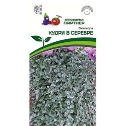 3309P Дихондра серебристая КУДРИ В СЕРЕБРЕ 4 шт