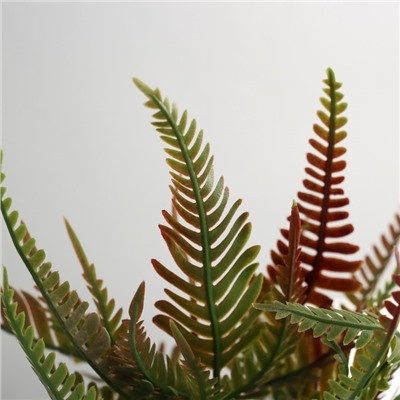 Искусственный цветок в горшке «Нефролепис премиум», 24×8.5 см, МИКС