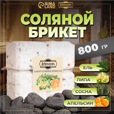 Соляной брикет набор 4 шт. "Апельсин, липа, сосна, ель« по 200 г »Добропаровъ"