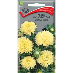 Астра Жёлтый ковер (Код: 65813)