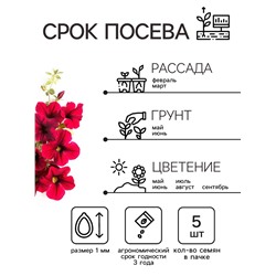 Семена Цветов Петуния "Тайдал Вейв Ред Велюр", 5 шт
