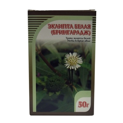Эклипта Белая (Брингарадж) трава 50 гр.
