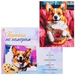 Холст с красками 30x40 по номерам "Пончик для корги" в коробке (30цв.)