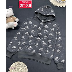 кофта с начесом 2050828-2