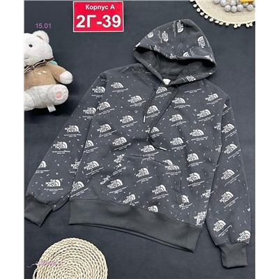 кофта с начесом 2050828-2