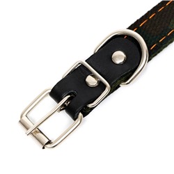 Ошейник брезентовый двухслойный «Камуфляж», 50×2 см, ОШ 25-35 см