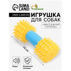 Игрушка для собак пищащая «Массажная гантель», 14 см, жёлтая/голубая